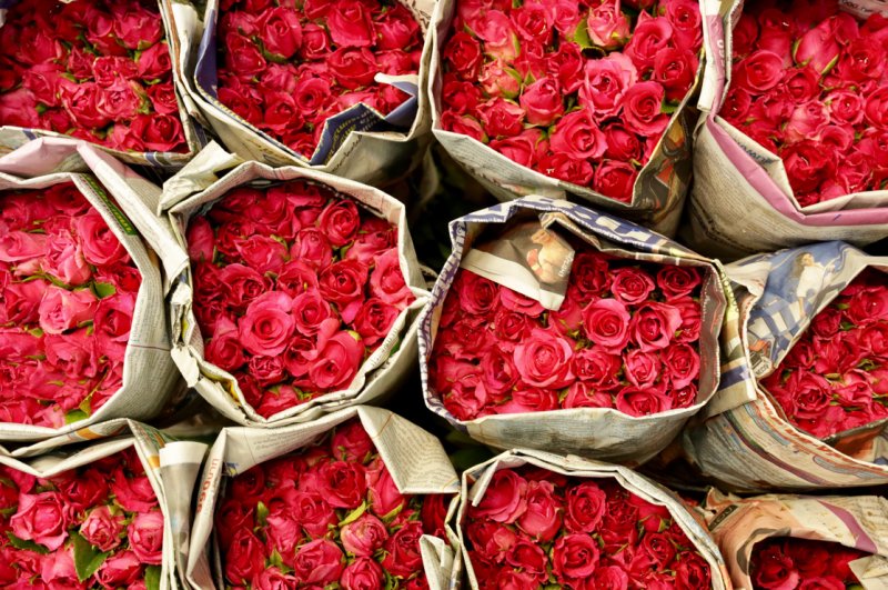 Sevgililer Günü'nün gözdesi olan çiçeklerin anlamları