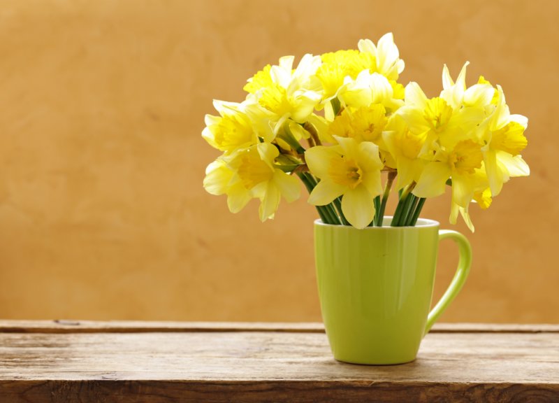 Sevgililer Günü'nün gözdesi olan çiçeklerin anlamları