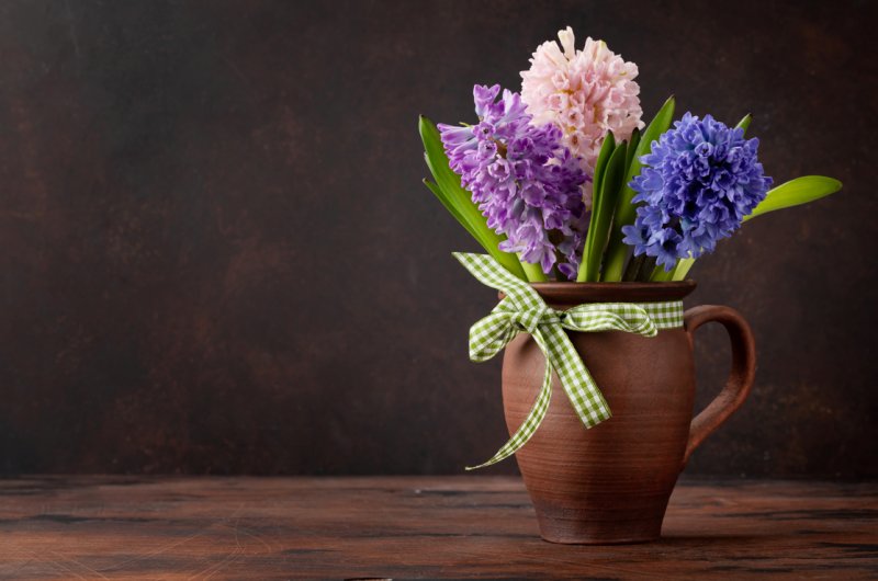 Sevgililer Günü'nün gözdesi olan çiçeklerin anlamları