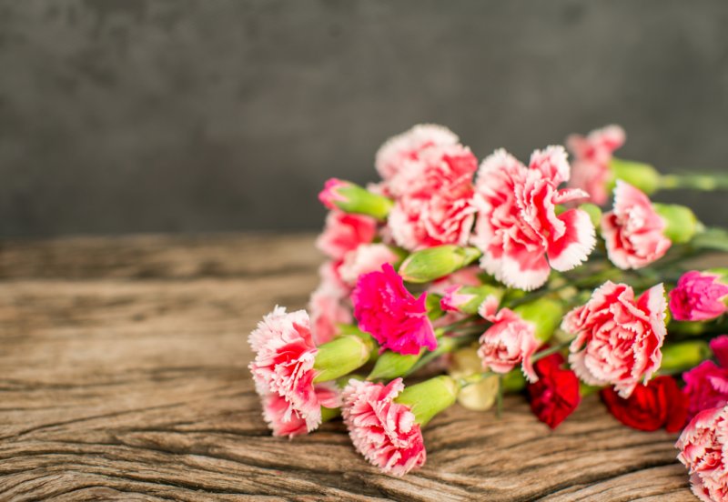 Sevgililer Günü'nün gözdesi olan çiçeklerin anlamları