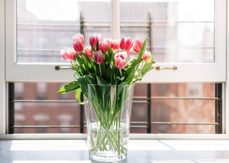 Sevgililer Günü'nün gözdesi olan çiçeklerin anlamları