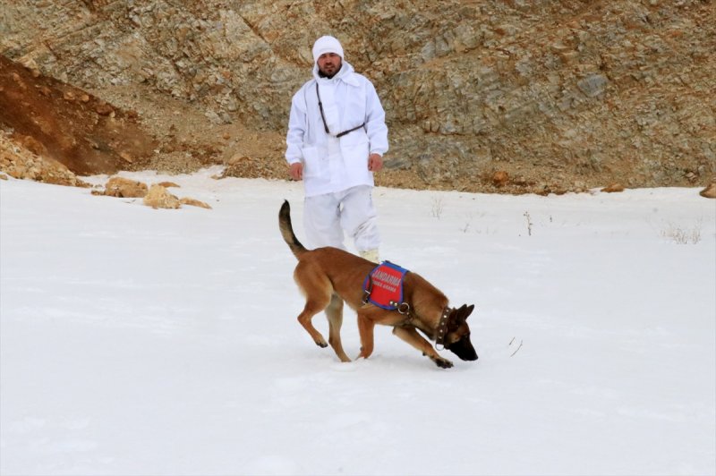 Fıratlar, karlı Munzur ve Mercan'ı teröristlere 'dar' ediyor