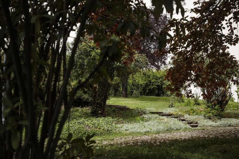 Meclis'in 'botanik parkı'