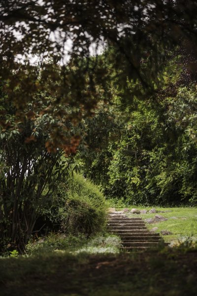 Meclis'in 'botanik parkı'