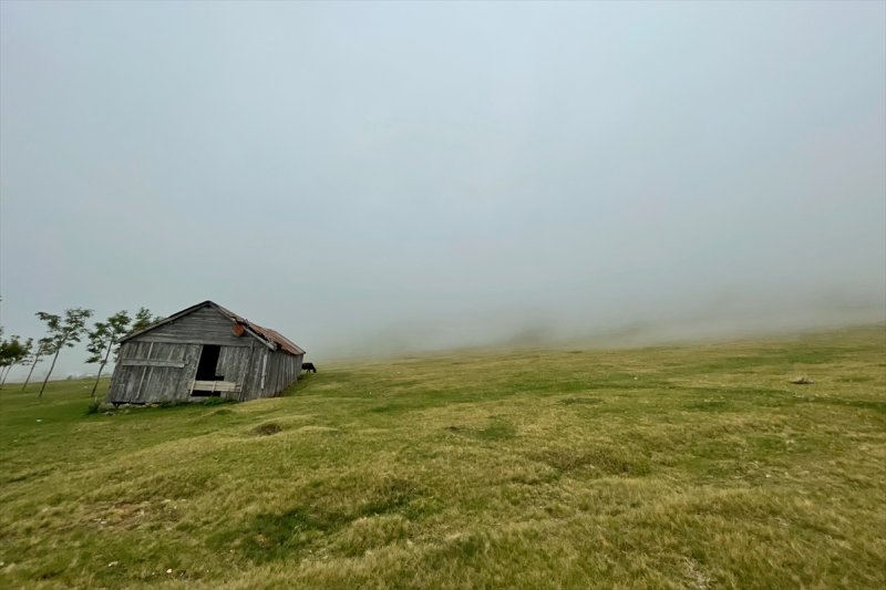 Karadeniz yaylaları sis altında