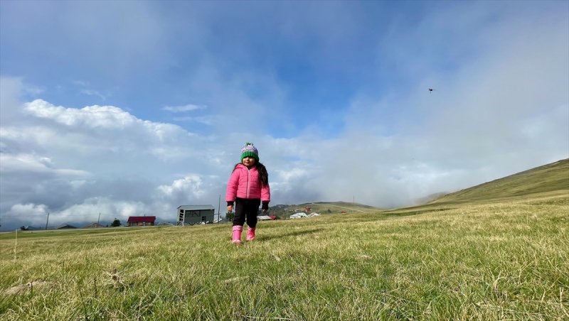 Karadeniz yaylaları sis altında