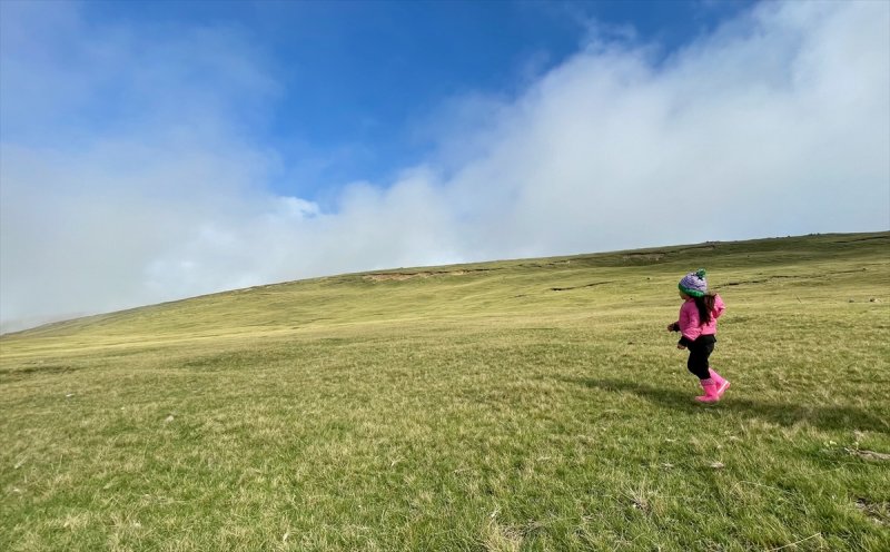 Karadeniz yaylaları sis altında