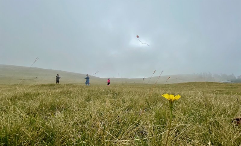 Karadeniz yaylaları sis altında