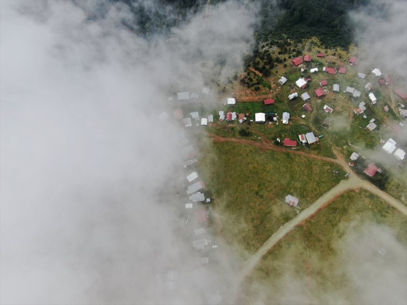 Karadeniz yaylaları sis altında