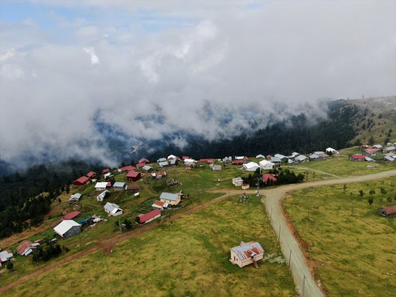 Karadeniz yaylaları sis altında