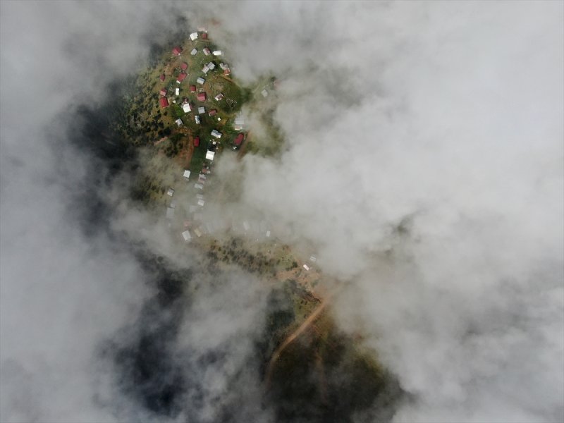 Karadeniz yaylaları sis altında