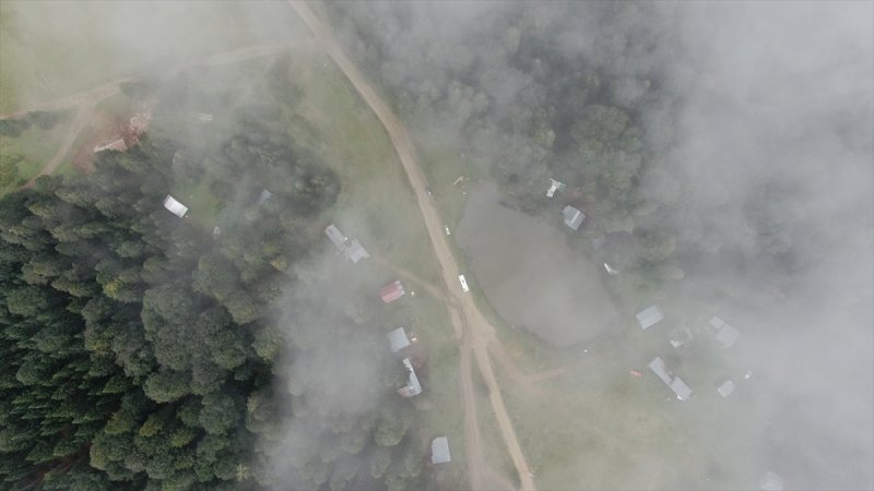 Karadeniz yaylaları sis altında