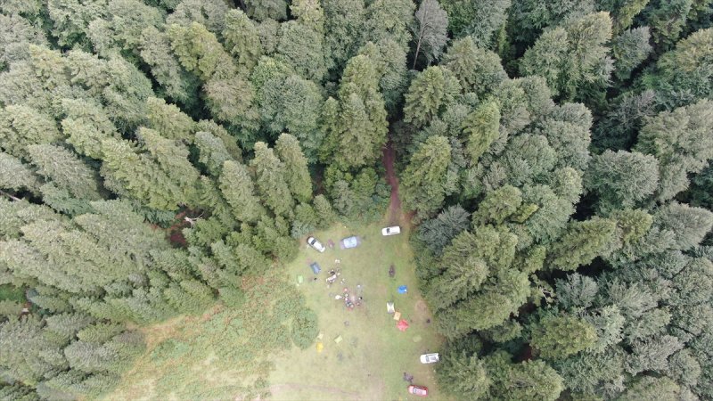 Karadeniz yaylaları sis altında