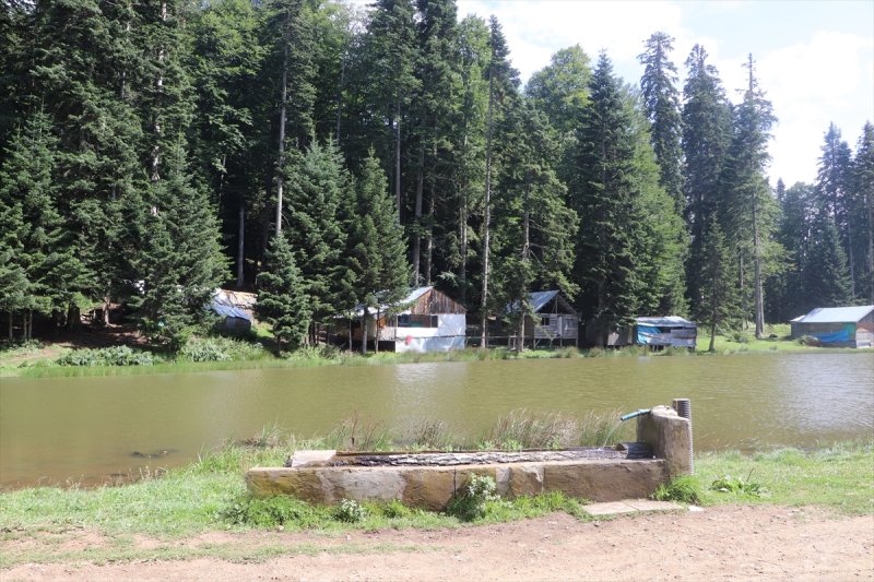 Karadeniz yaylaları sis altında