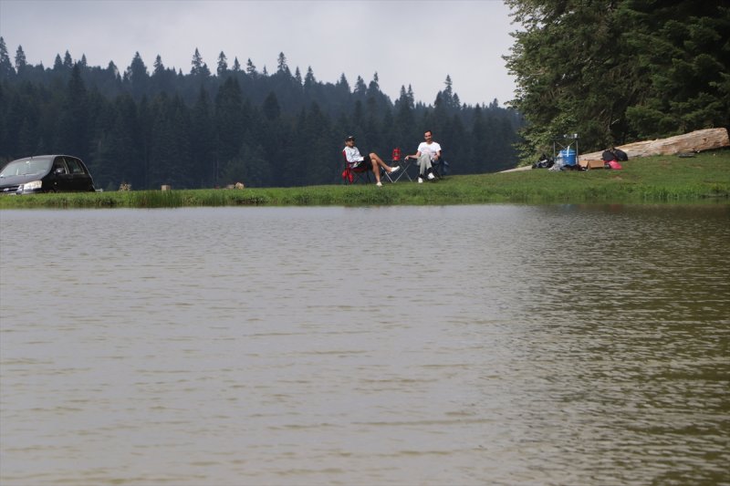 Karadeniz yaylaları sis altında