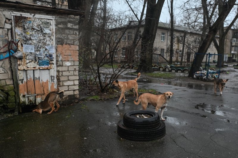 İşgal altındaki Herson'da günlük yaşam