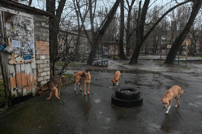 İşgal altındaki Herson'da günlük yaşam