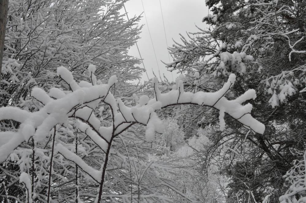 Abant Gölü'nden kar manzaraları