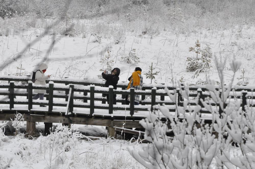 Abant Gölü'nden kar manzaraları