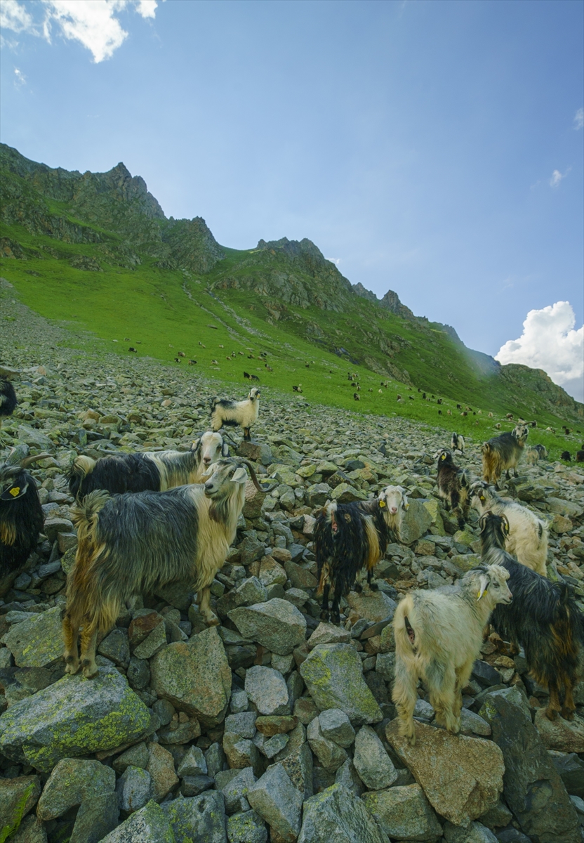 Kaçkar Dağları, bayramda doğa tutkunlarının uğrak adresi oldu