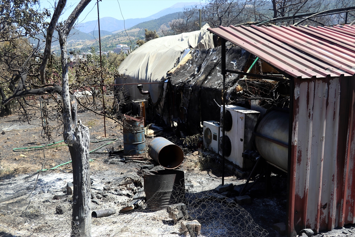 3 gün boyunca alev alev yandı! Hatay'da orman yangınından geriye kalan manzara