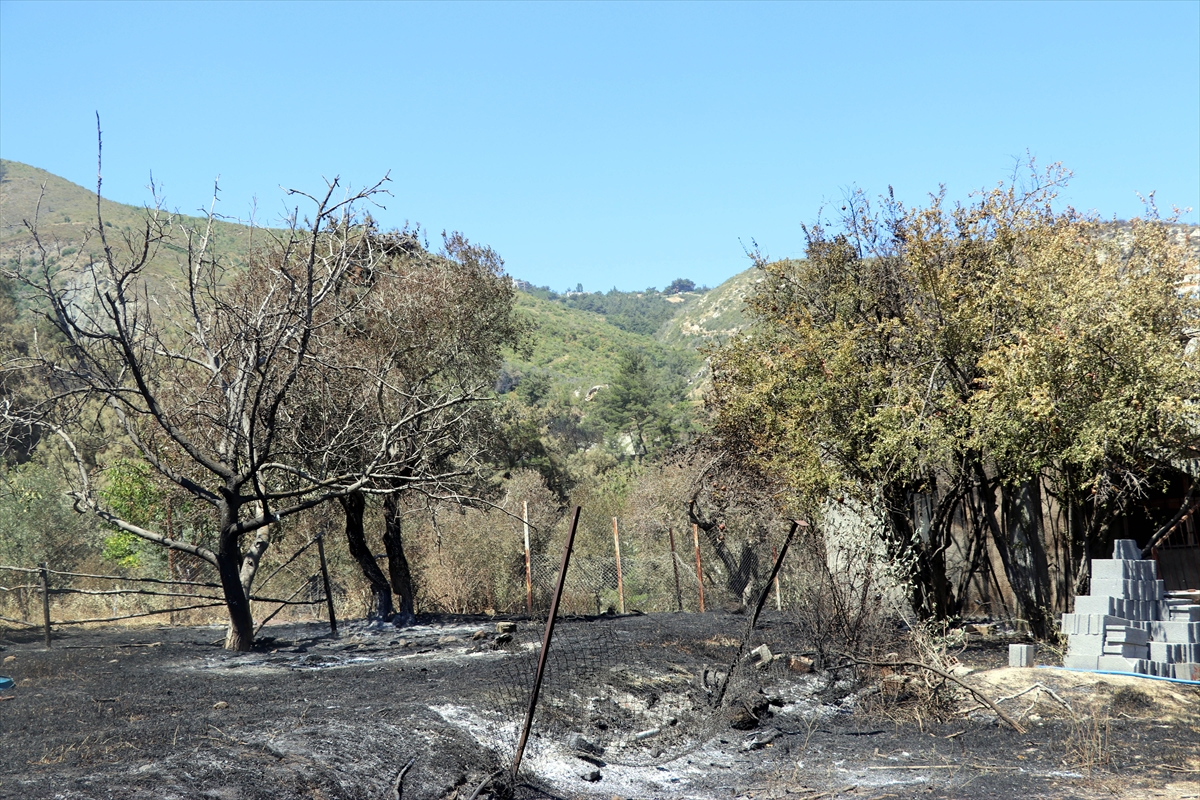 3 gün boyunca alev alev yandı! Hatay'da orman yangınından geriye kalan manzara