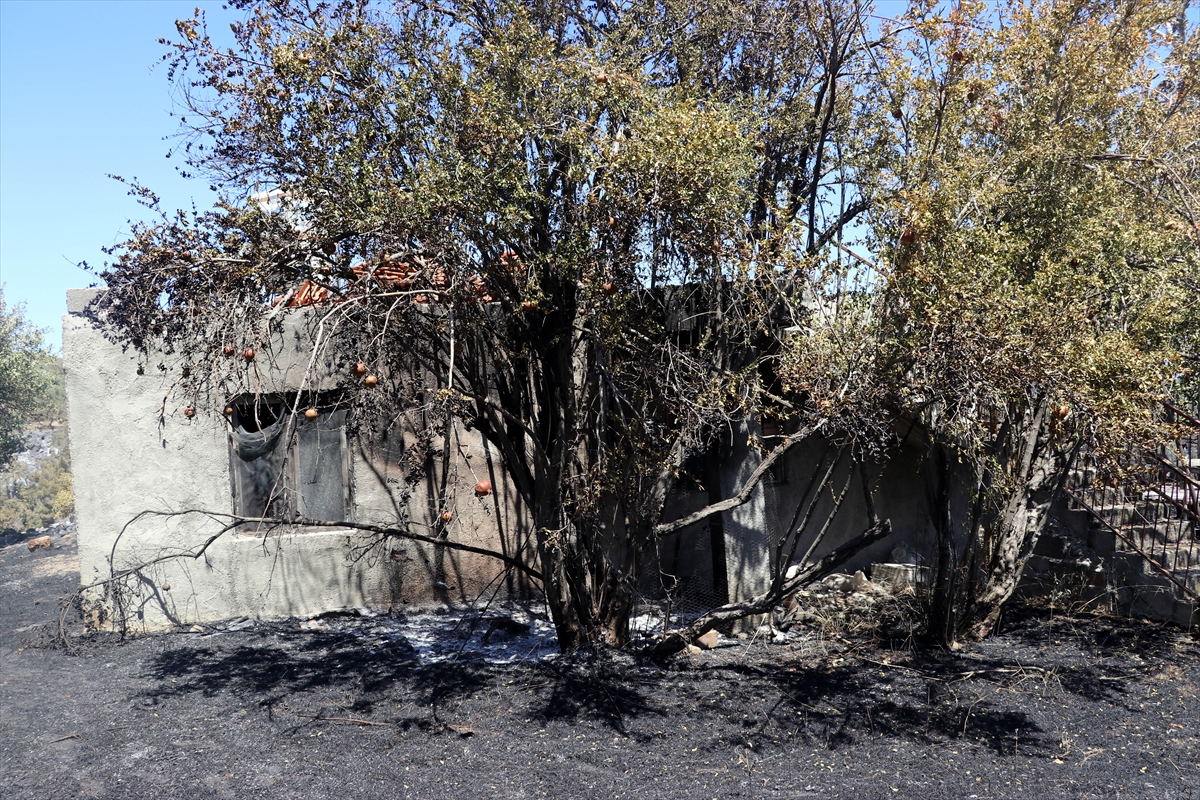 3 gün boyunca alev alev yandı! Hatay'da orman yangınından geriye kalan manzara