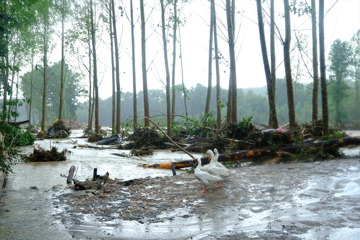Kırklareli'de sağanak yağış sele sebep oldu