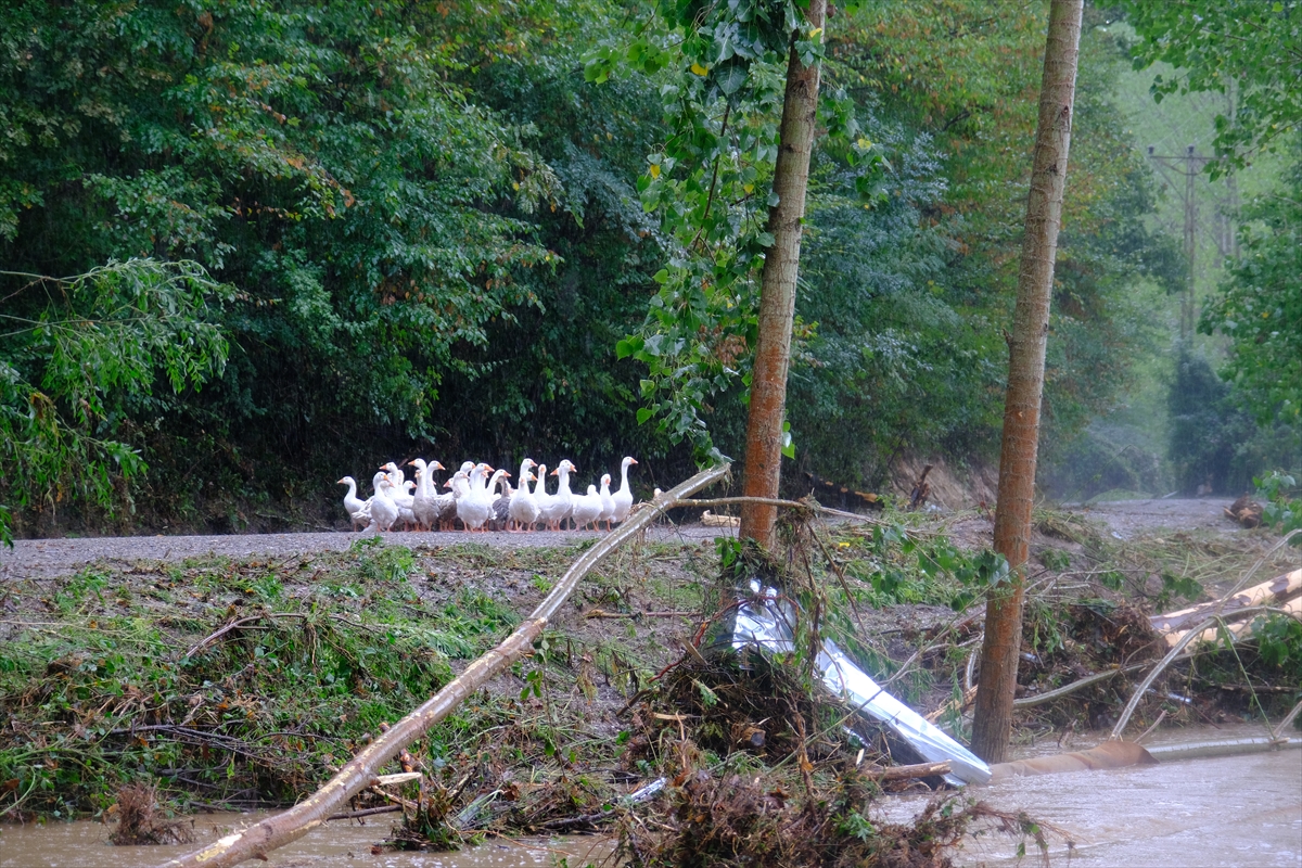 Kırklareli'de sağanak yağış sele sebep oldu