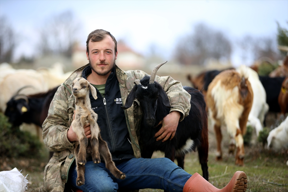 Yıldız Dağları, oğlak ve kuzu sesleriyle yankılanıyor