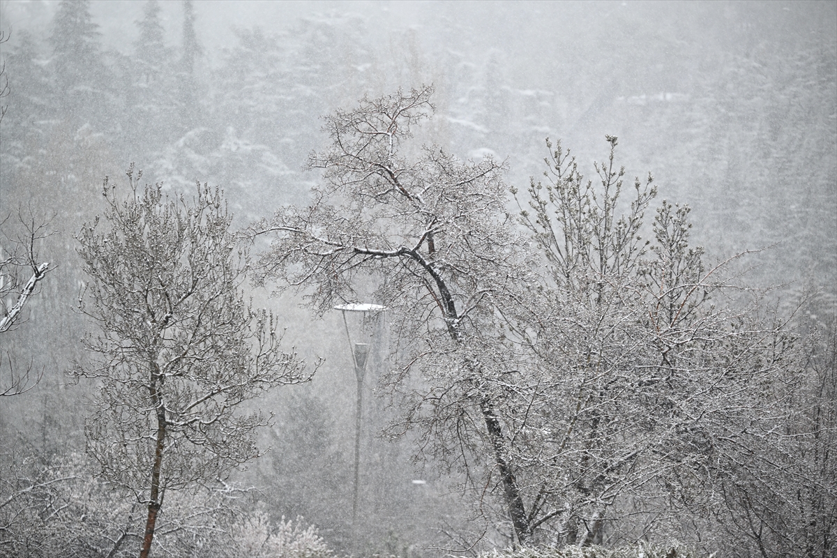 Ankara'ya mart ayında lapa lapa kar yağdı: Beyaza bürünen kentten kareler...