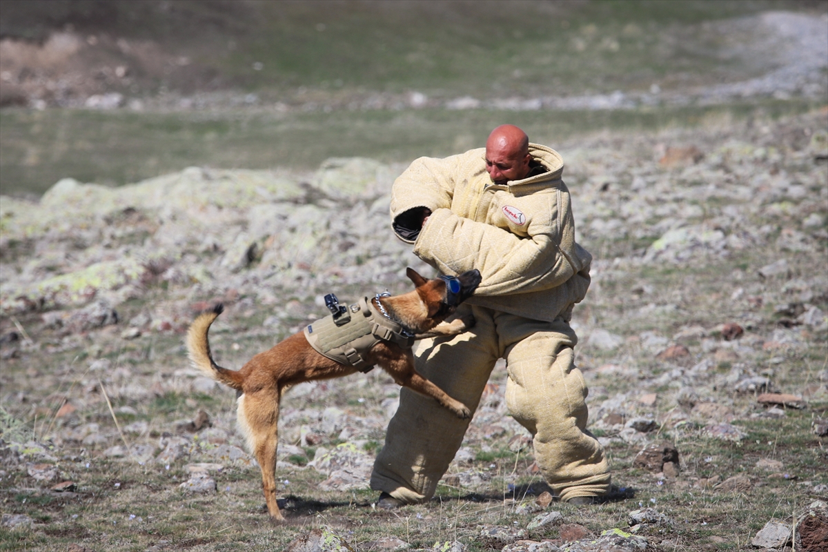 Mehmetçik'in zorlu kış tatbikatı