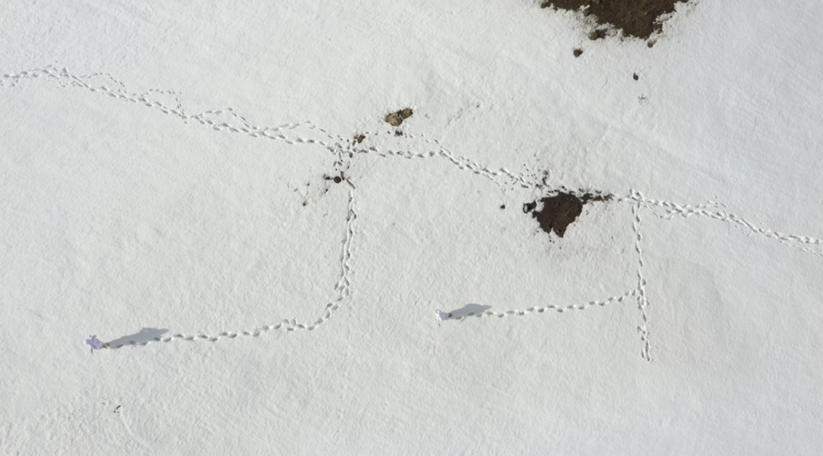 Mehmetçik, bayramı görev başında karşıladı