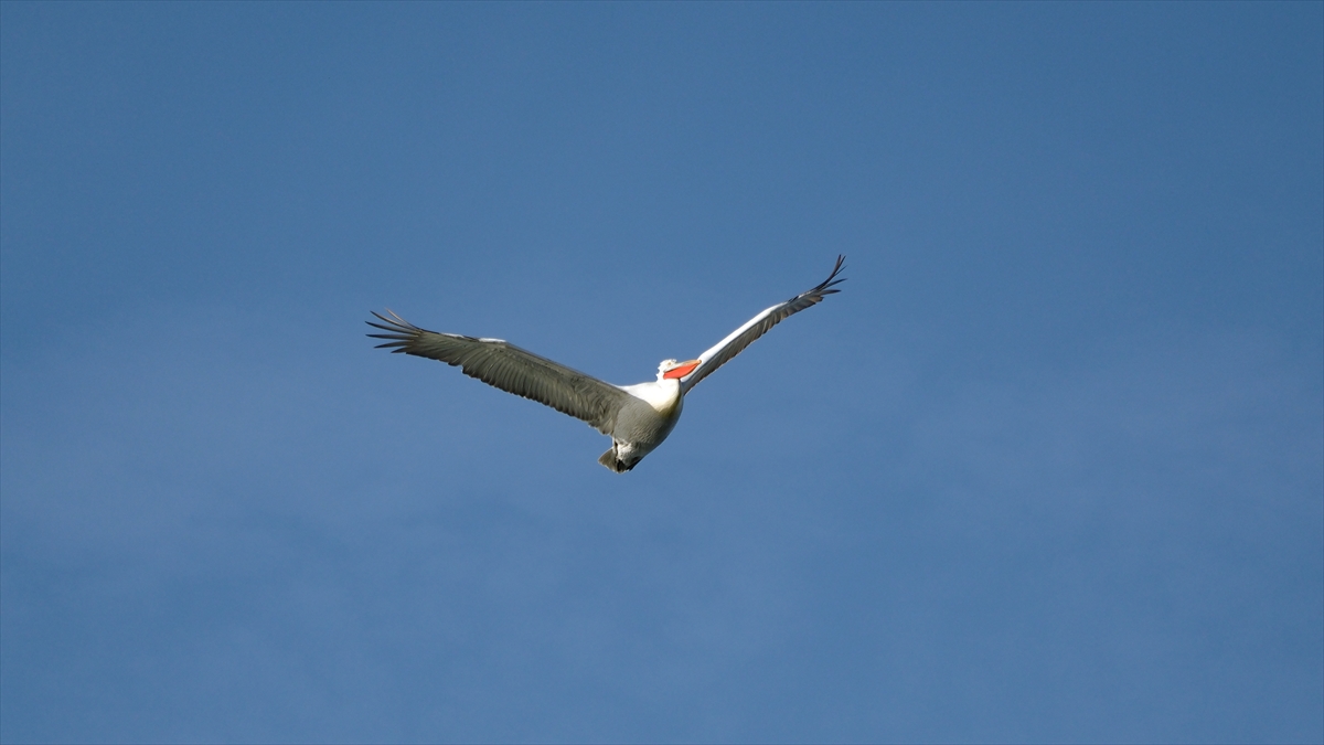Kars'ta Çıldır Gölü'nün üzerindeki buzlar erimeye başladı