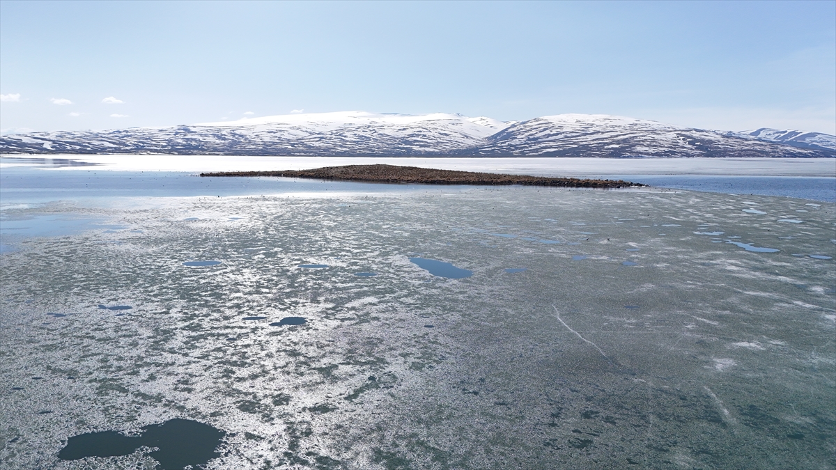 Kars'ta Çıldır Gölü'nün üzerindeki buzlar erimeye başladı