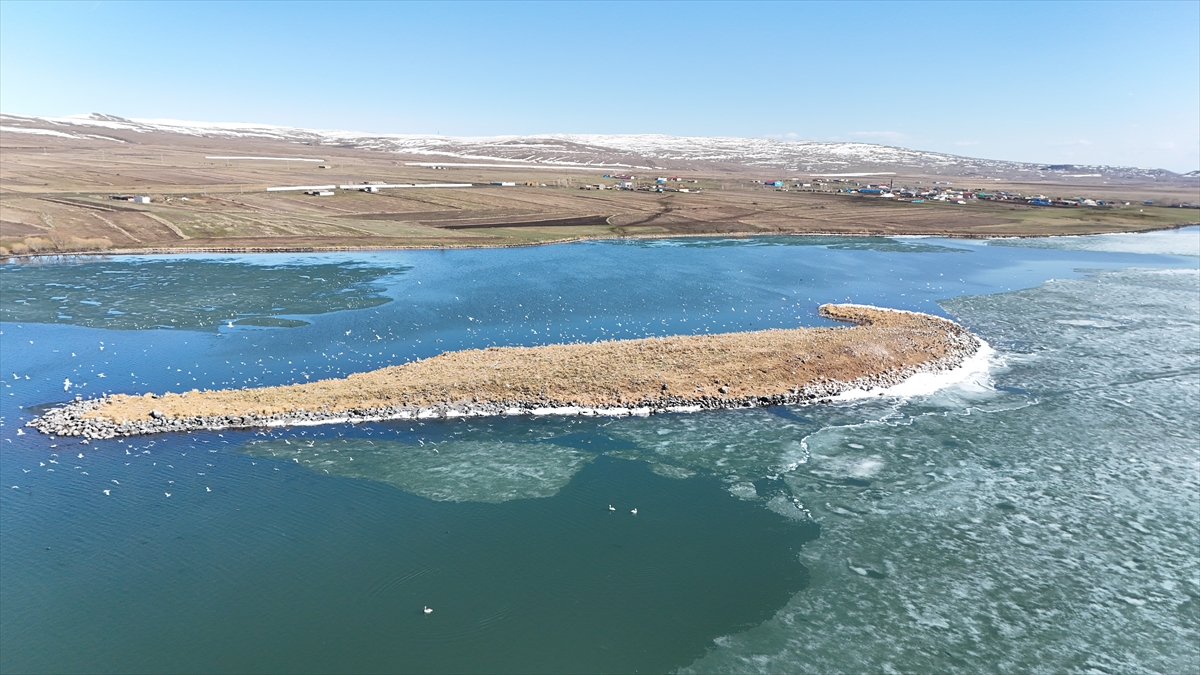 Kars'ta Çıldır Gölü'nün üzerindeki buzlar erimeye başladı
