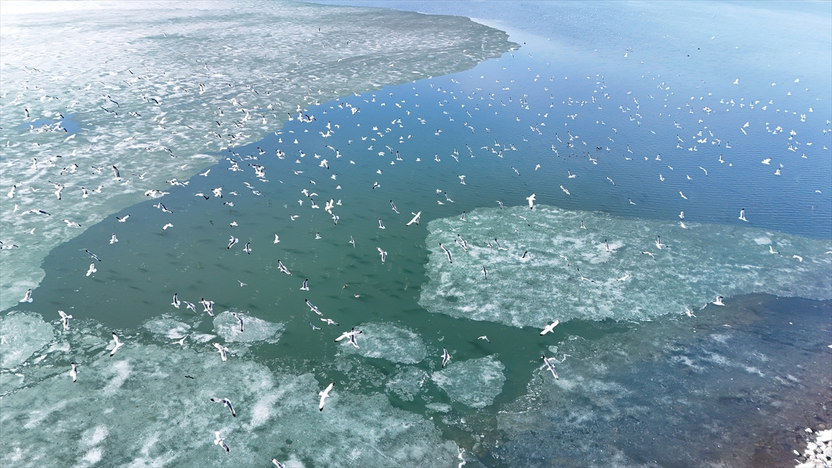 Kars'ta Çıldır Gölü'nün üzerindeki buzlar erimeye başladı