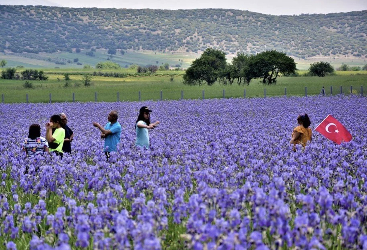 Tatil sezonunu "henüz" açamadım diyenler: İşte Türkiye'nin trenle gidilecek rotaları