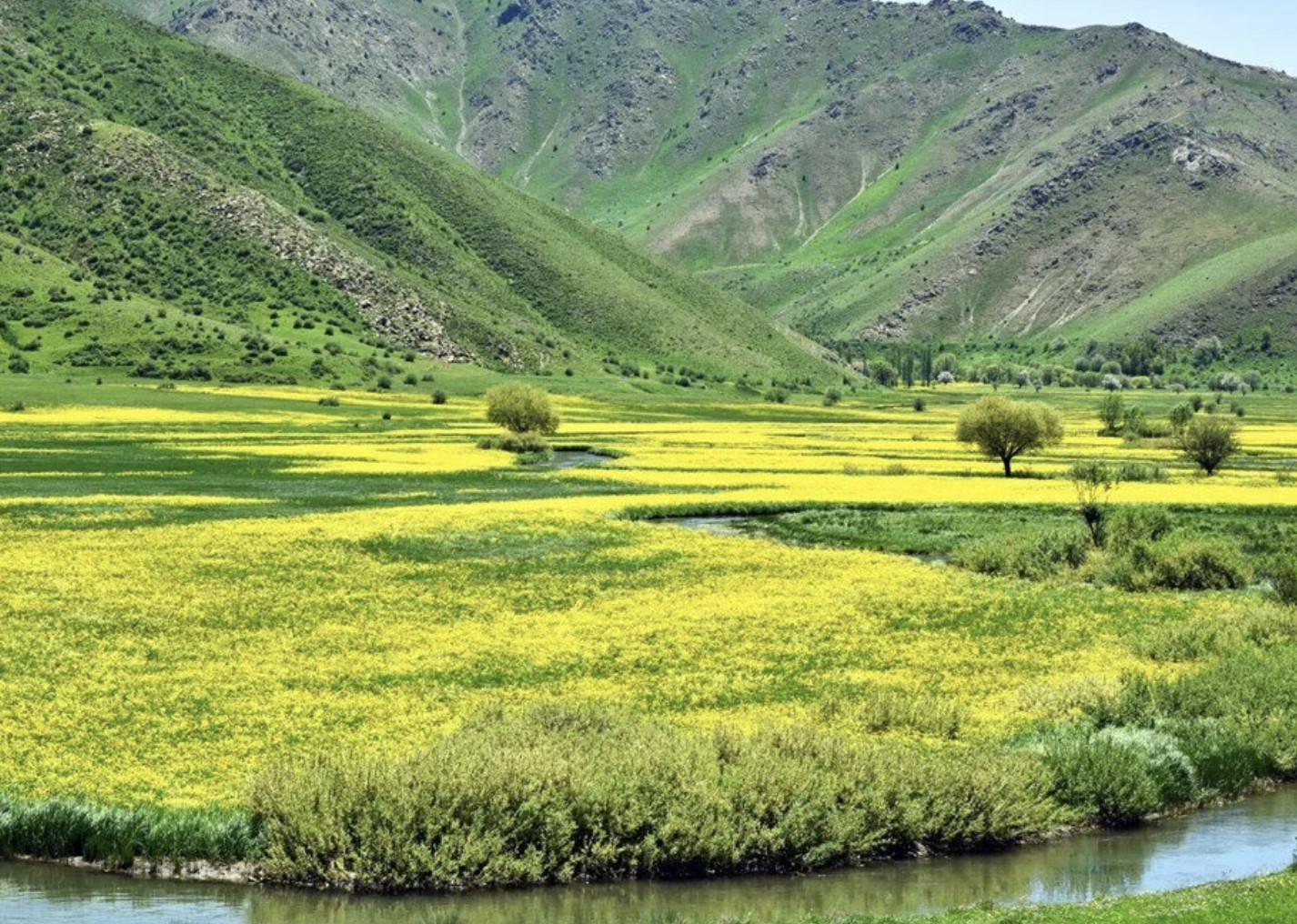 Tatil sezonunu "henüz" açamadım diyenler: İşte Türkiye'nin trenle gidilecek rotaları