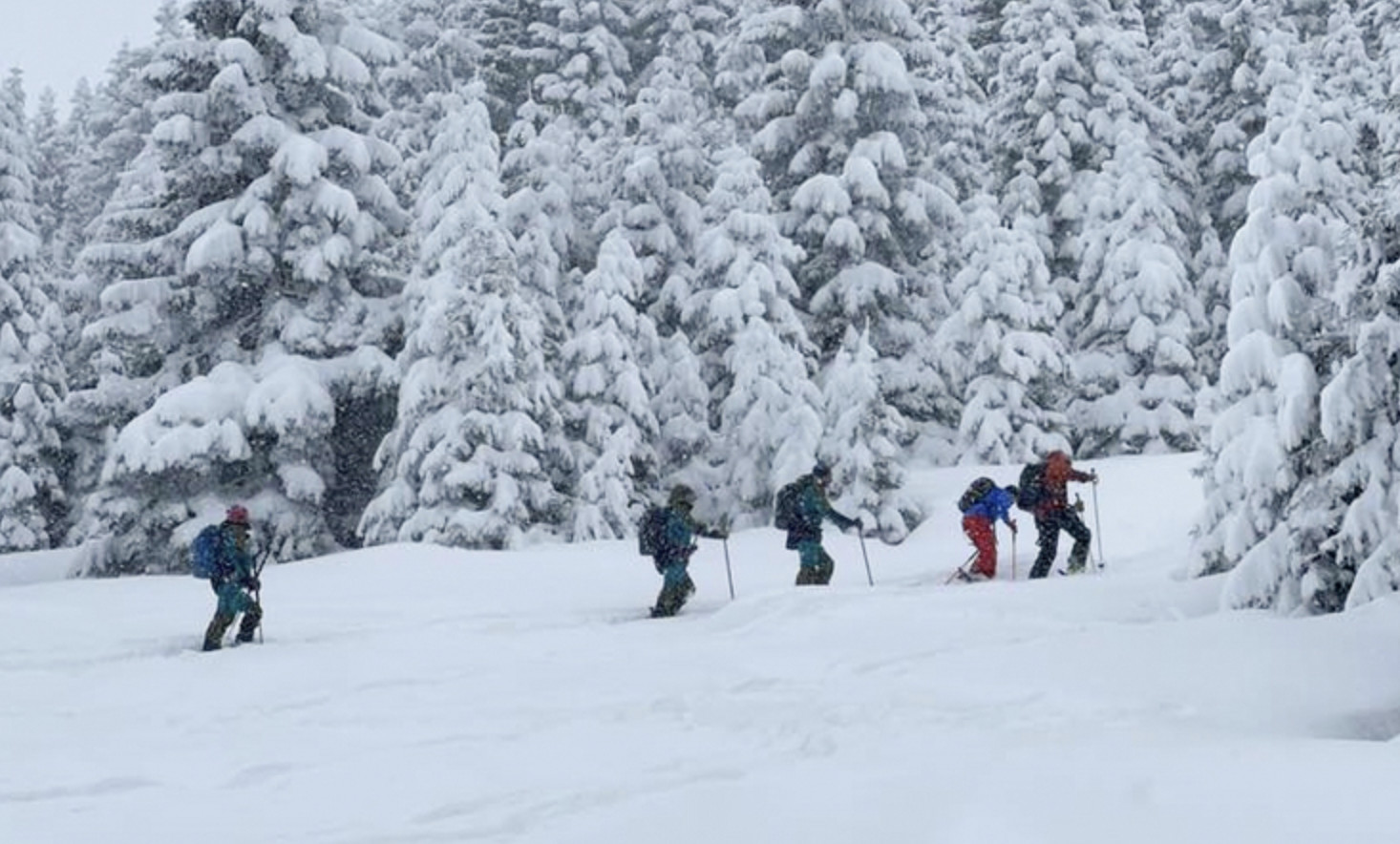 Rize'de heliski heyecanı: Kaçkar Dağları'nda sezon sona erdi