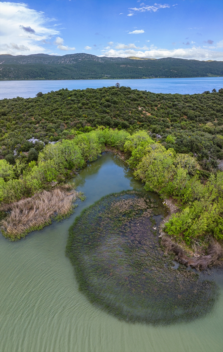 Isparta'da yeşile büründü: Kovada gölü eşsiz manzarasıyla büyülüyor