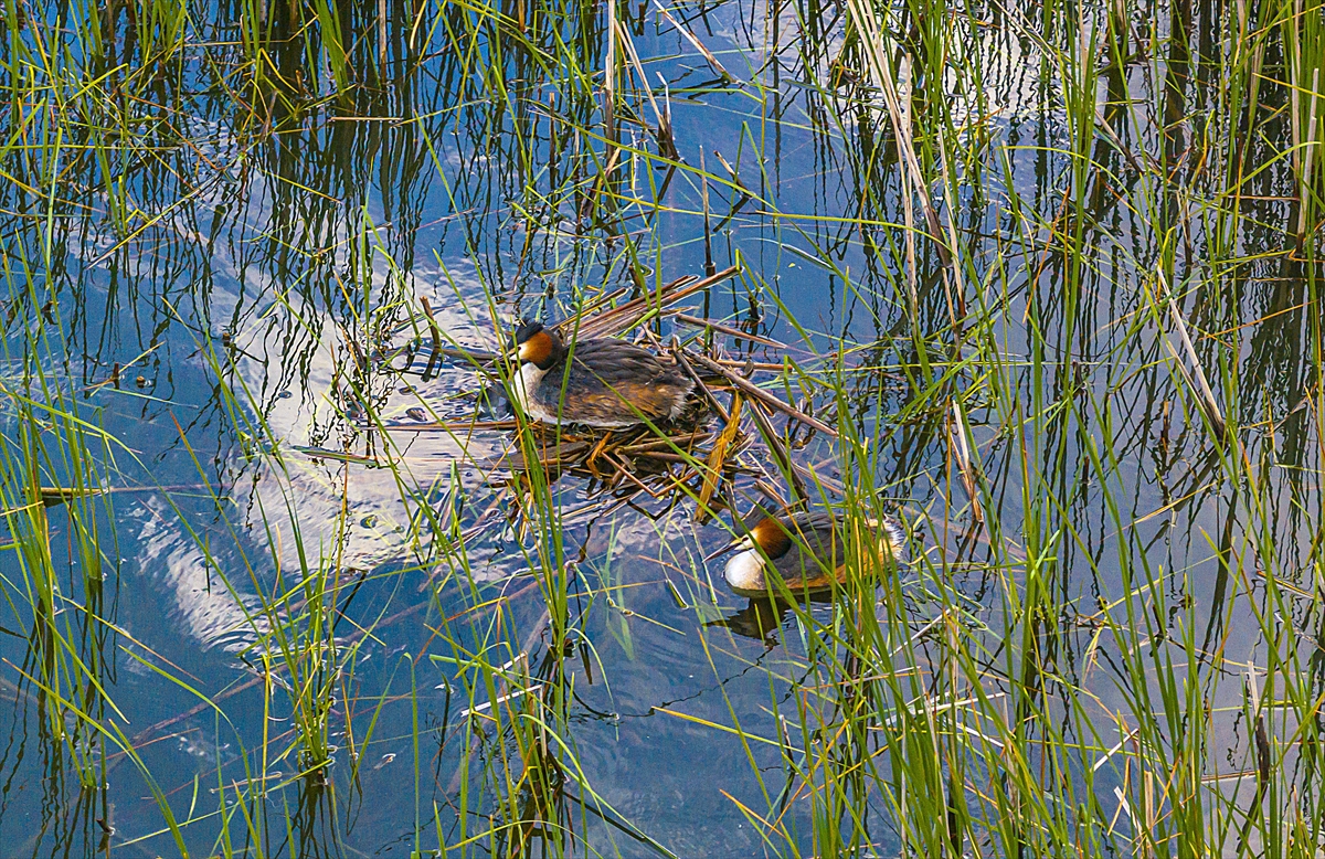 Isparta'da yeşile büründü: Kovada gölü eşsiz manzarasıyla büyülüyor