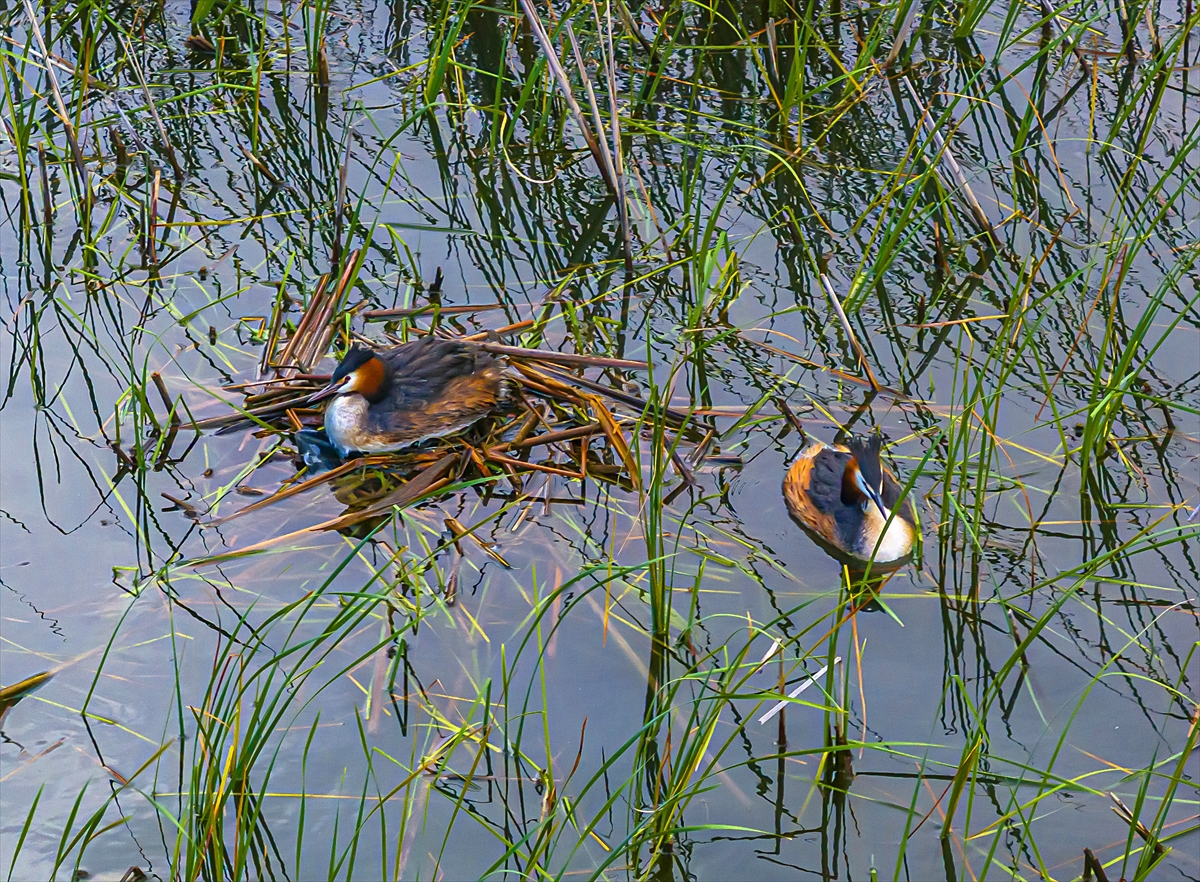 Isparta'da yeşile büründü: Kovada gölü eşsiz manzarasıyla büyülüyor