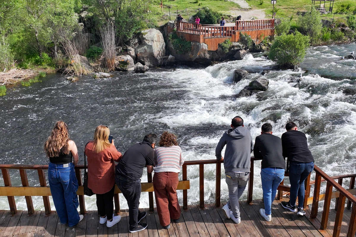 Van Gölü'nde inci kefalinin göç yolculuğu devam ediyor