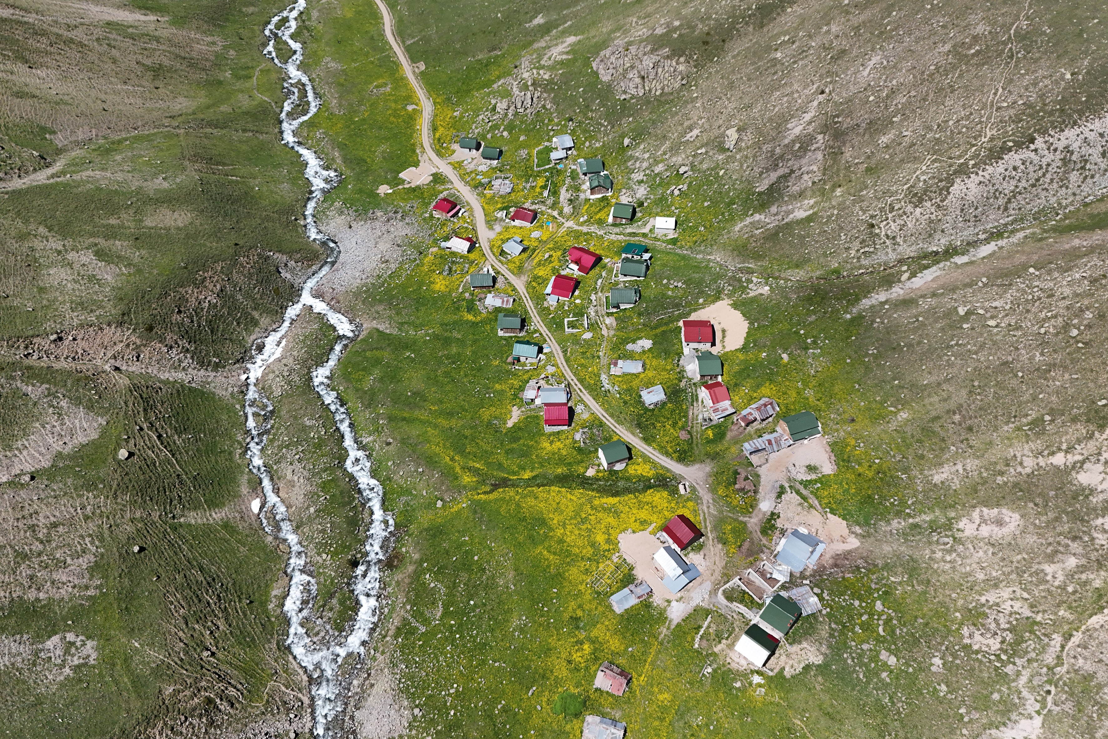 Yazın geldiği Dulağa Yaylası, Alpler'i aratmıyor