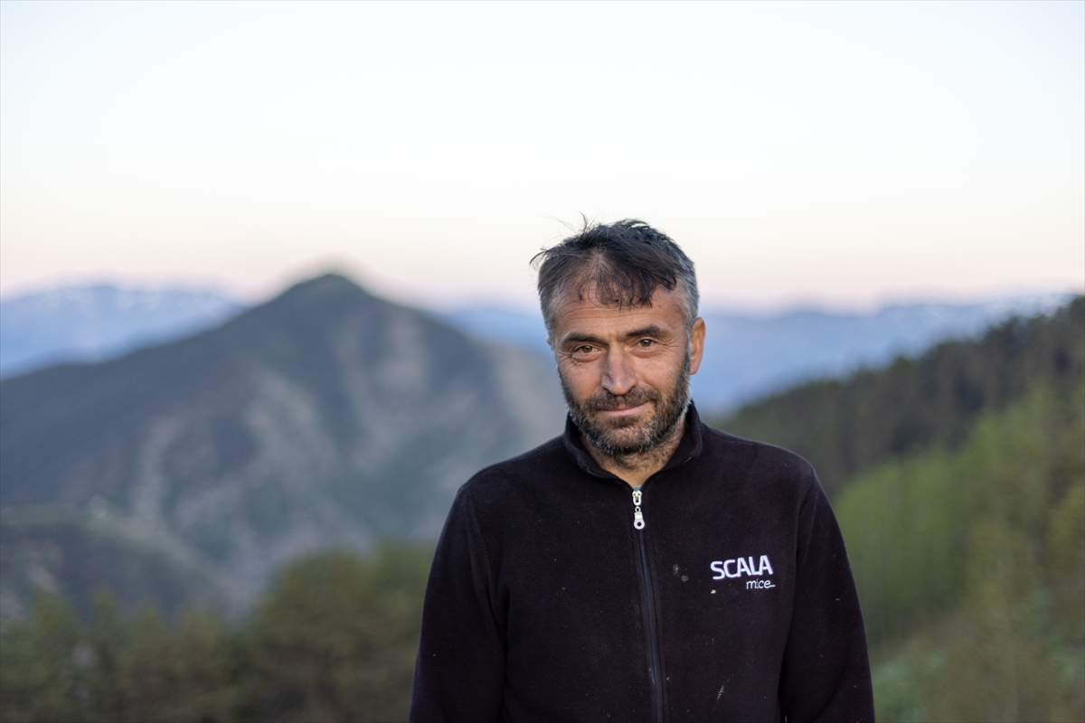 Erzurum-Rize yaylaları, keşfedilmeyi bekliyor