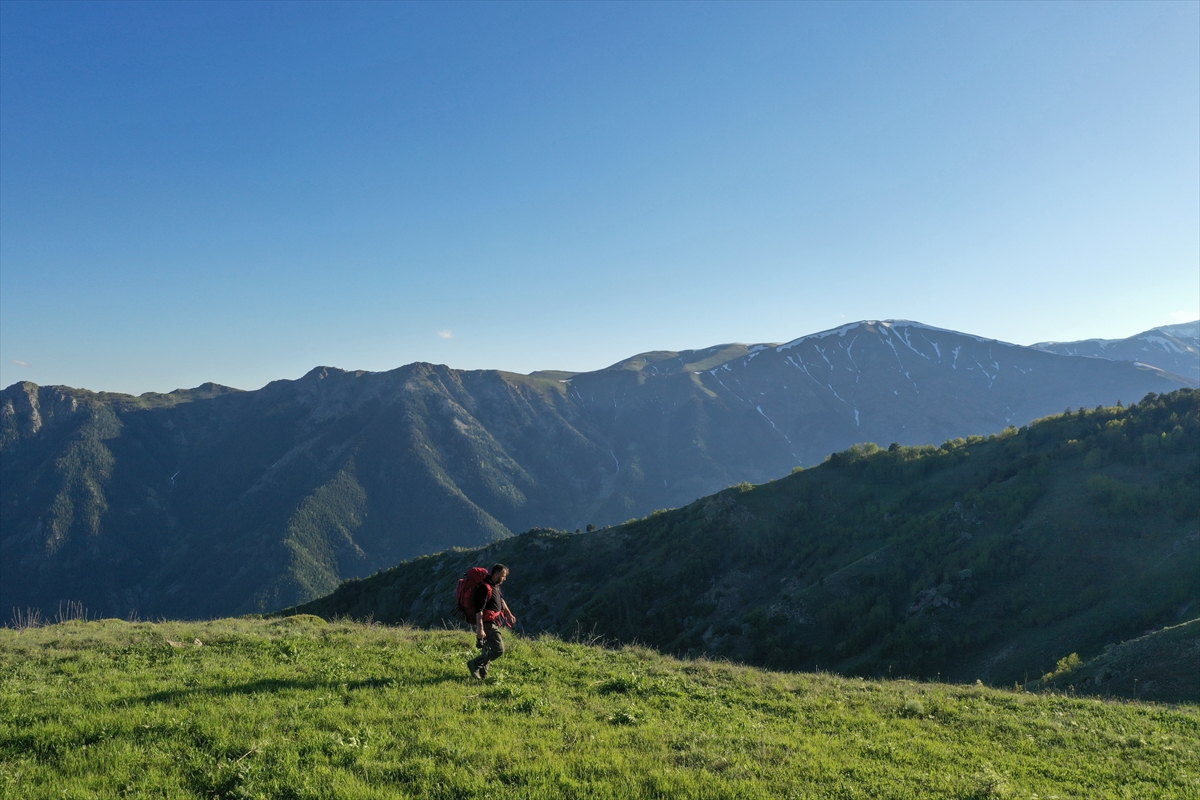Erzurum-Rize yaylaları, keşfedilmeyi bekliyor