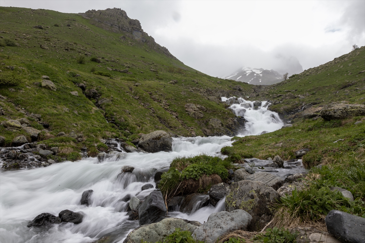 Erzurum-Rize yaylaları, keşfedilmeyi bekliyor