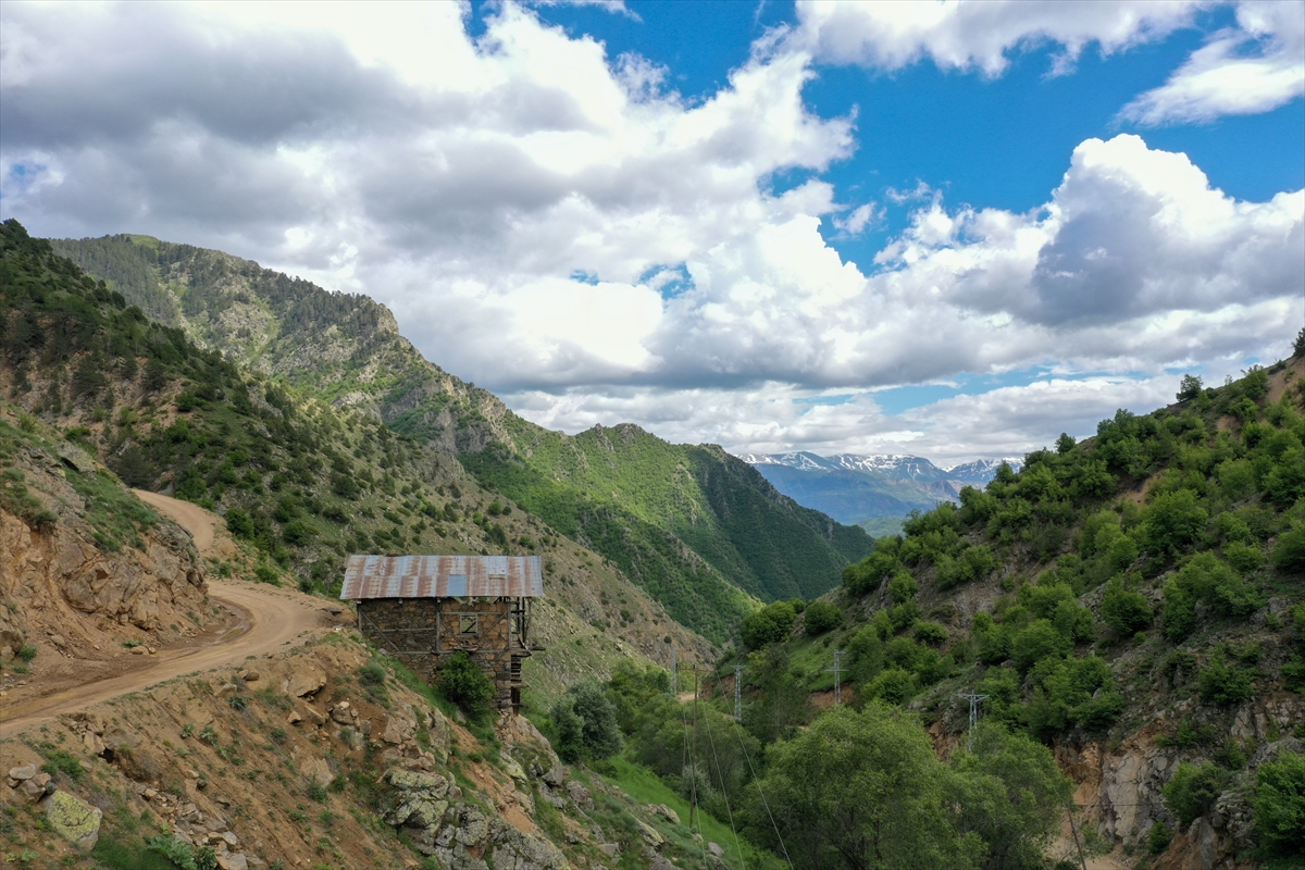 Erzurum-Rize yaylaları, keşfedilmeyi bekliyor