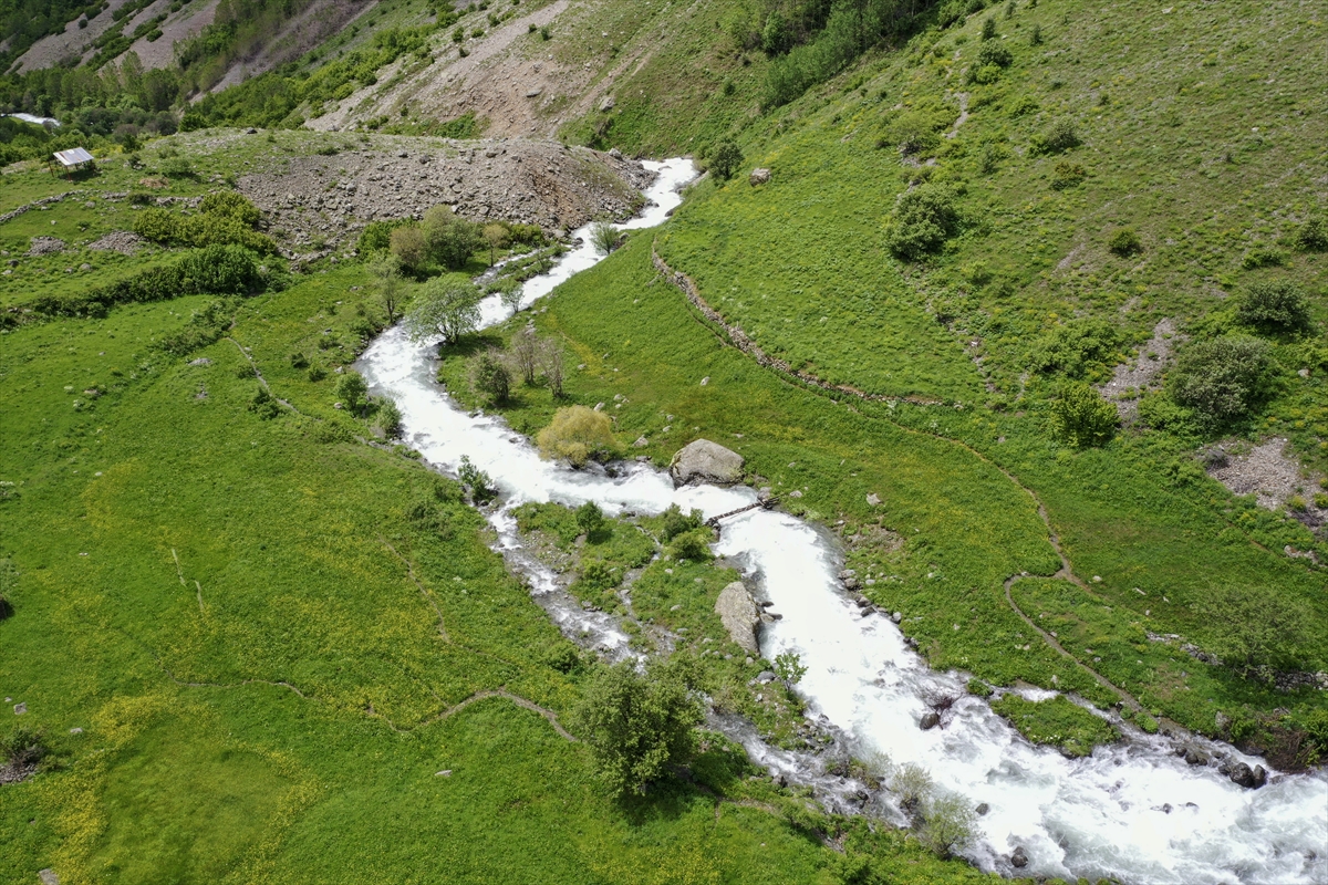 Erzurum-Rize yaylaları, keşfedilmeyi bekliyor
